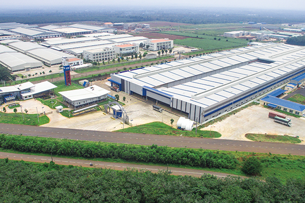 Feuille verte du Shaanxi Co., Ltd